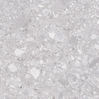 Matrix Керамогранит светло-серый K952738R0001LPET 60x60