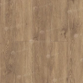 ECO 11-703 Гевуина