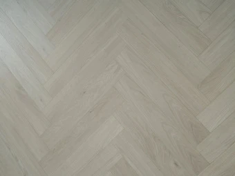 520 Дуб Бостон