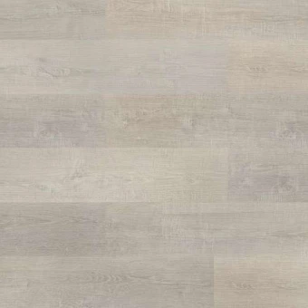 6612 Дуб серебристый