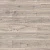 K451 Дуб Сильверсайд