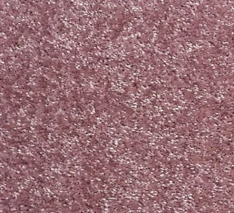 Atos 10576 L_Rose