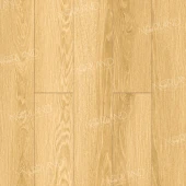 LF302-07 Дуб Тавора