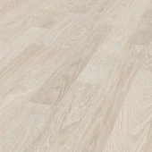 4282 Дуб Рейкьявик