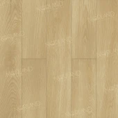 LF301-04 Дуб Тасмания