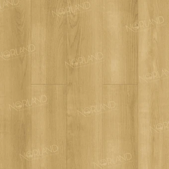 LF301-06 Дуб Лузон