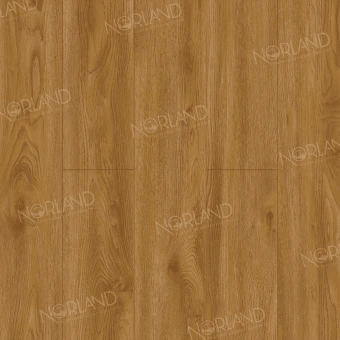 LF301-10 Дуб Хонсю