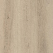 FP951 Дуб лунный