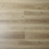 16166 Дуб Конви