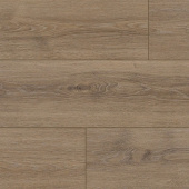 NC84 Дуб Тендес