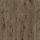 59807 Дуб Рапти