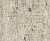 FP555 Сосна Ренесанс