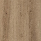 FP954 Дуб тирольский