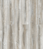 D7046 Дуб Каллиано