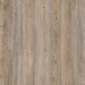 50057 Дуб Ригель