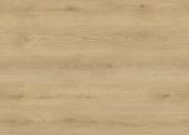 88-209 Дуб Толедо