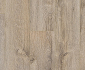 FP565 Дуб Дали