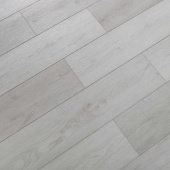 V113 Дуб Лауриям