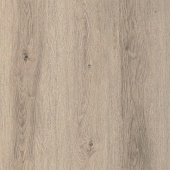 FP952 Дуб жемчужный