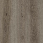 FP953 Дуб Сан-Марино