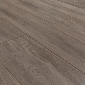 2581 Дуб Королевский