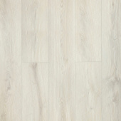 161116 Дуб Моне