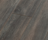 Дуб Бремен SF61