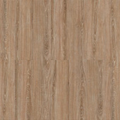 Дуб Валлийский 1586