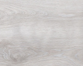 5507 Дуб Алтей 