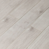 16149 Дуб Соломон