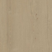 CXCL40153 Элегантный дуб греш