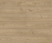 D50567 Дуб Лейнстоун