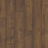 IM1851 Дуб деревенский