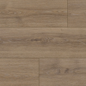 NC84 Дуб Тендес