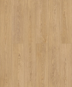 50817 Дуб Виейра