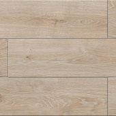 13 Дуб Оммаж