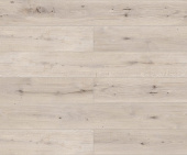 D50957 Дуб Мармион