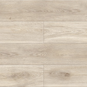 50867 Дуб Лаудер