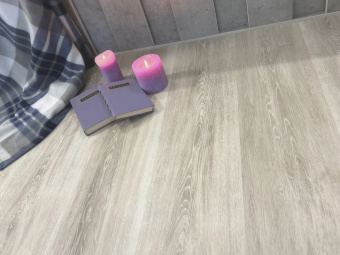 Q-13 Дуб Квинс