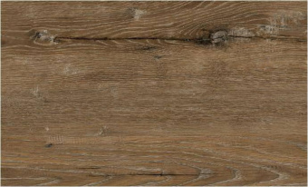 2079 Дуб Миллениум