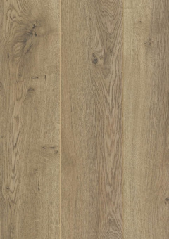 D3668 Дуб Неброский