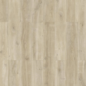 56220 Дуб Натуральный