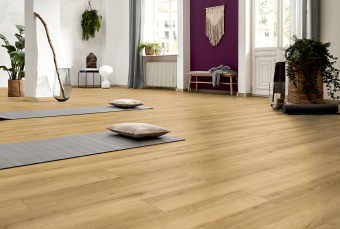 D40792 Дуб Тахо