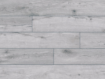 52786 Дуб Туркана