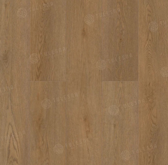 Verano 1002-22 Elisa