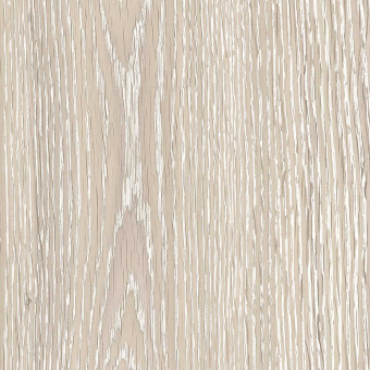 FP09.2 Дуб Онтарио