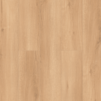 LF100-24 Дуб Виченца