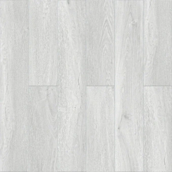 Дуб Серебристый 