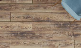  LM-07  Дуб Рим / Rome Oak