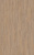 D6014 Дуб Эльба Бежевый D6014 Дуб Эльба Бежевый